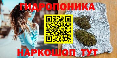 скорость Гагарин