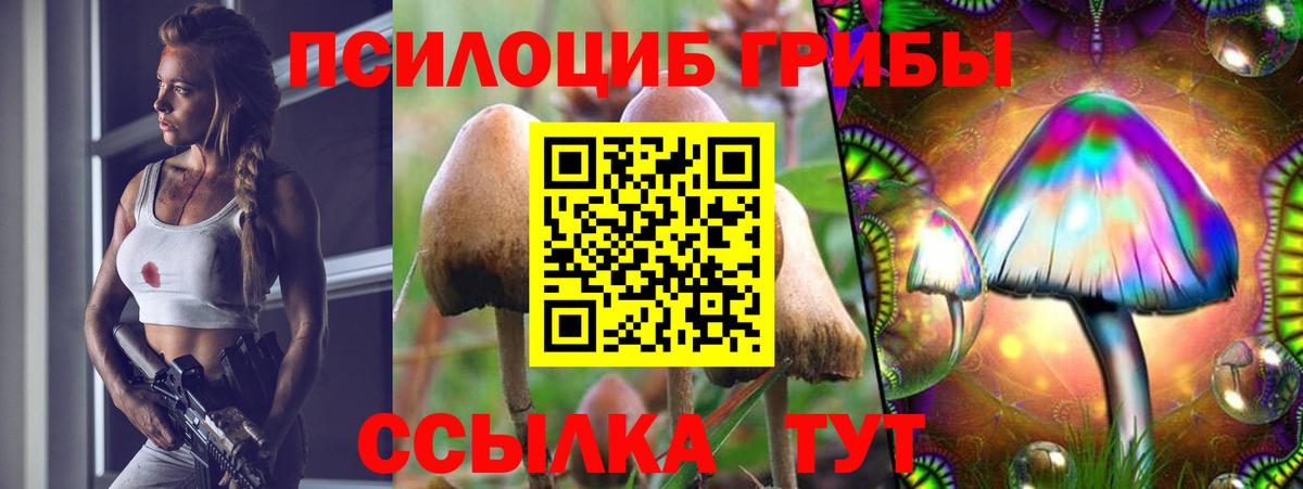 Елизово  Галлюциногенные грибы ЛСД  Вход с VPN 